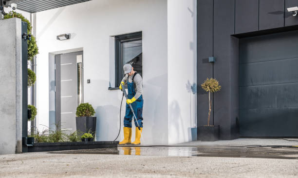 Best Roof Washing  in Northwest Ithaca, NY
